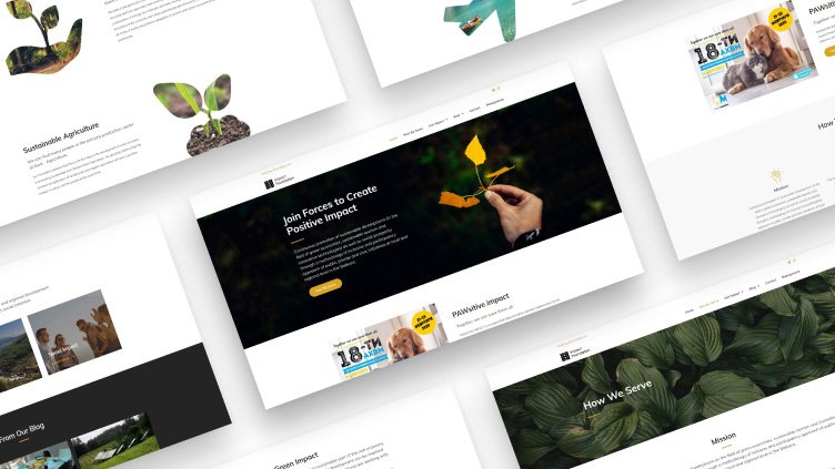 A comprehensive website design showcasing multiple interconnected pages for a NGO.