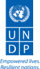UNDP company logo